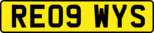 RE09WYS