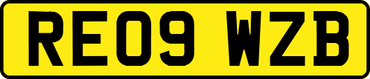 RE09WZB