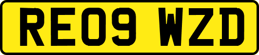 RE09WZD