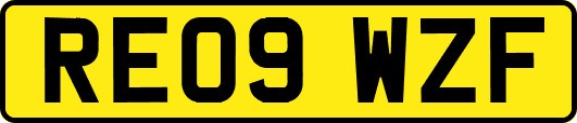 RE09WZF