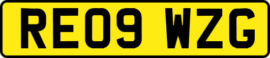 RE09WZG