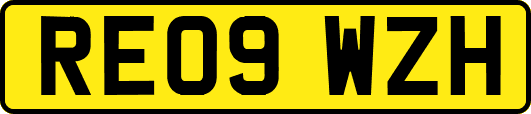 RE09WZH