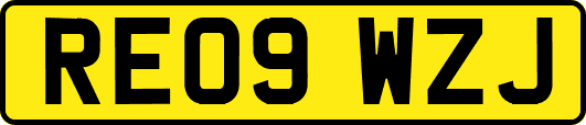 RE09WZJ