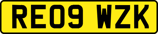 RE09WZK