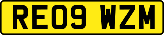 RE09WZM