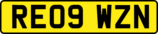 RE09WZN