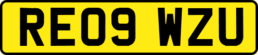 RE09WZU