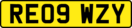 RE09WZY
