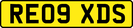 RE09XDS