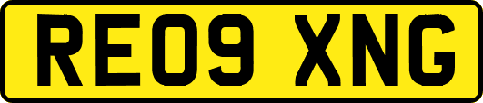 RE09XNG