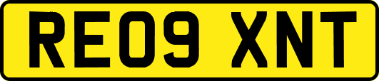 RE09XNT