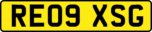 RE09XSG
