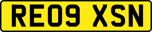 RE09XSN