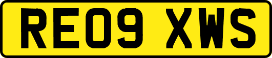 RE09XWS