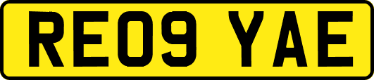 RE09YAE