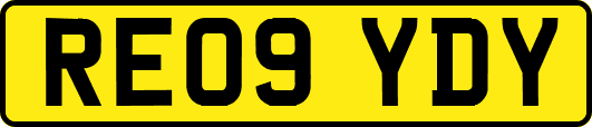 RE09YDY