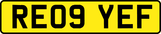 RE09YEF