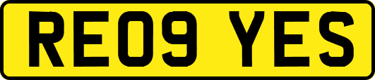 RE09YES