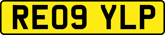 RE09YLP