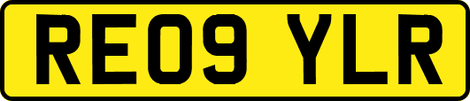 RE09YLR