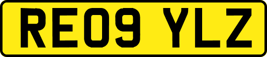 RE09YLZ