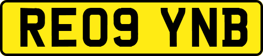 RE09YNB