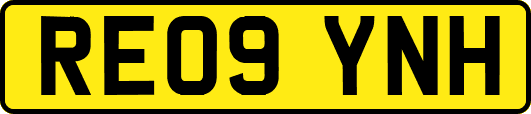 RE09YNH