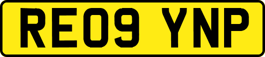 RE09YNP