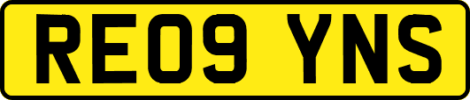 RE09YNS