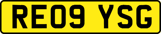 RE09YSG