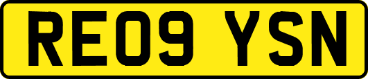 RE09YSN