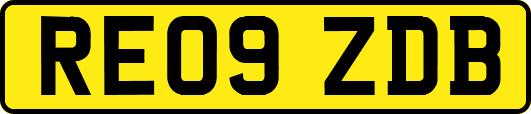 RE09ZDB
