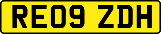 RE09ZDH