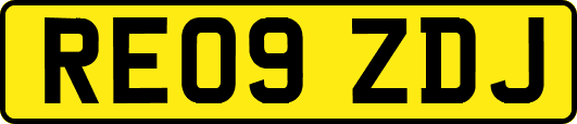 RE09ZDJ