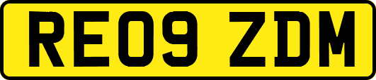 RE09ZDM