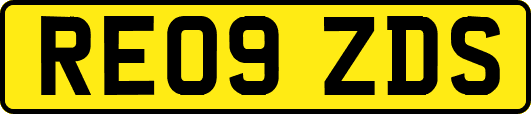 RE09ZDS