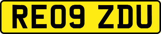 RE09ZDU