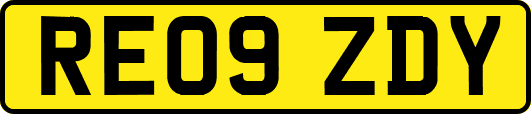 RE09ZDY