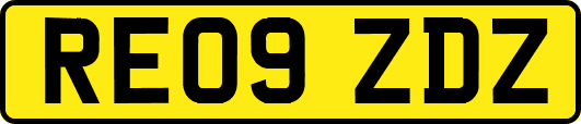 RE09ZDZ