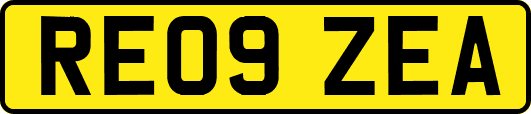 RE09ZEA