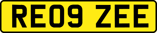 RE09ZEE