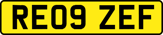 RE09ZEF