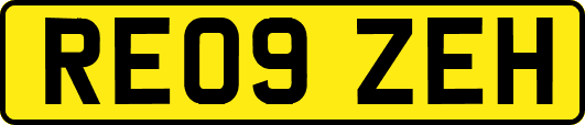 RE09ZEH