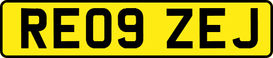 RE09ZEJ