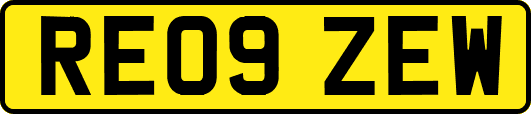 RE09ZEW