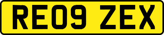 RE09ZEX
