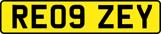 RE09ZEY