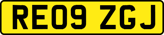 RE09ZGJ