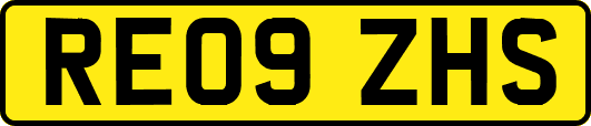 RE09ZHS