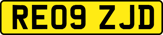 RE09ZJD